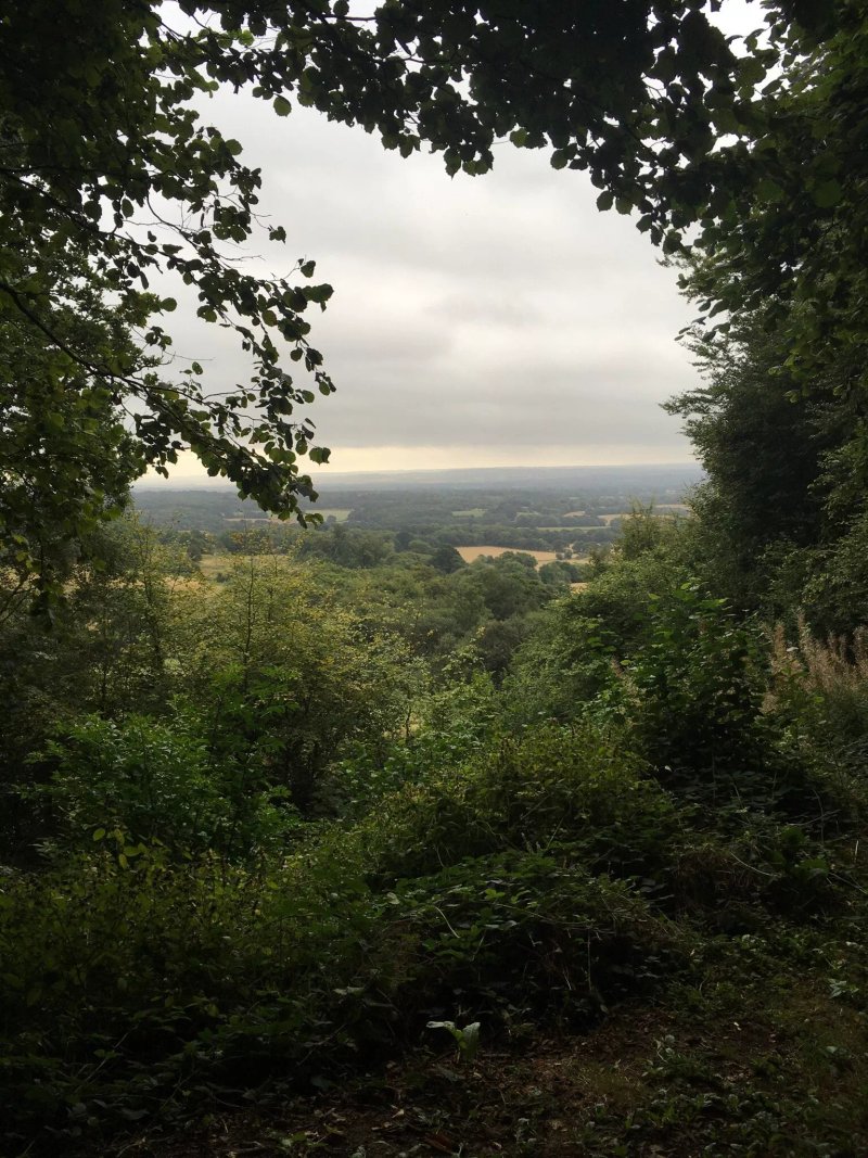 The Ide Hill Community Shop