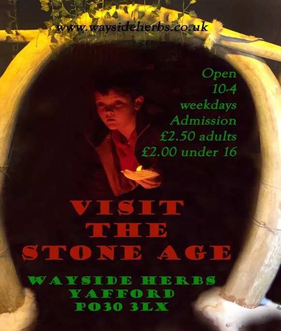 Visit the Stone Age