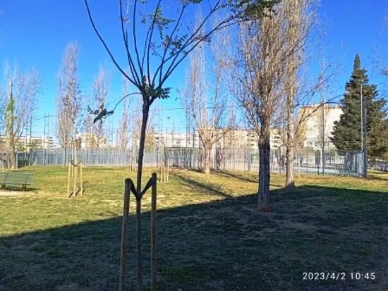 Parque por la Paz y la Naturaleza