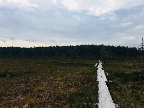 Siikanevan Soidensuojelualue