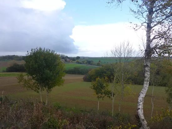 Butte de Warlencourt