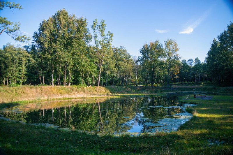 Park Tysiaclecia