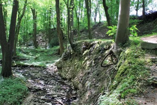 Patensteig mit Wasserfaellen