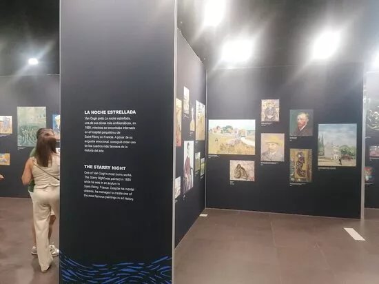 Van Gogh Alive, The Experience
