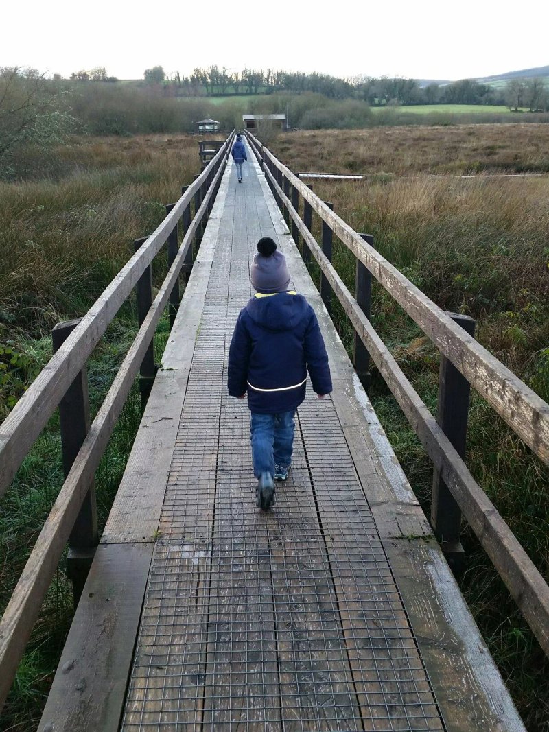 Ballyhoura Outdoor Classroom - Griston Bog