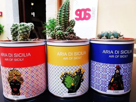SOS Design Shop