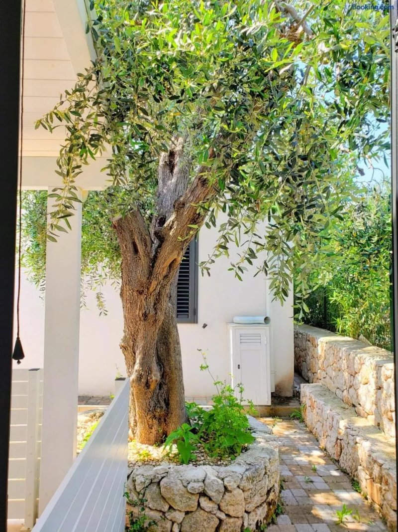 Villa Gargano-Manfredi Homes&Villas