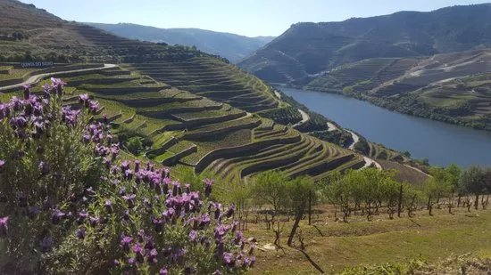 Efun Tours - Porto & Douro Tours