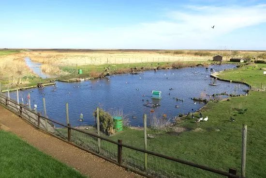 Blakeney Conservation Duck Pond