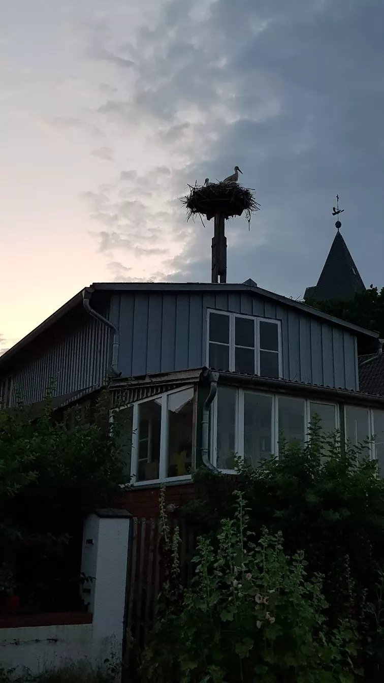 Hotel Buergerstube