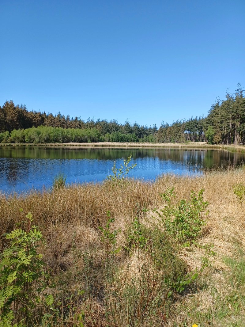 Camping de Ikeleane