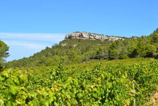 Chateau Saint-Esteve