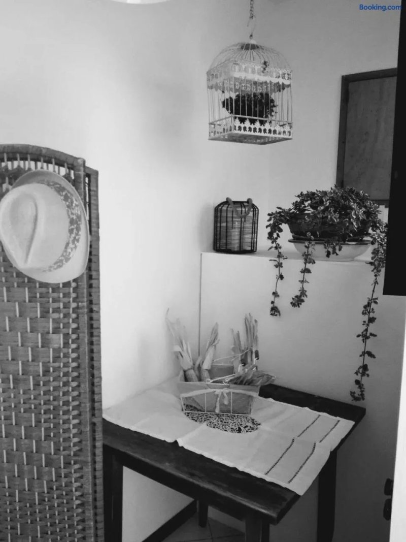 Il Vicolo Di Ripa B&b