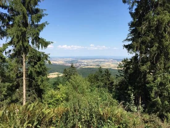Forderverein Hausbergturm