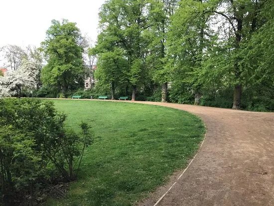 Rosenwiese