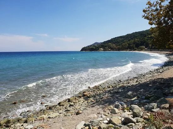 Koutsoupia Beach