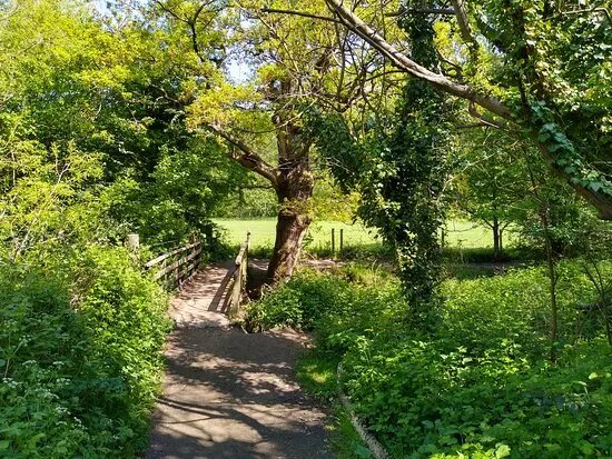 Petts Wood And Hawkwood