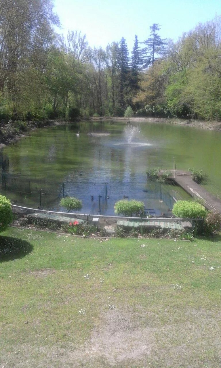 La Clairiere