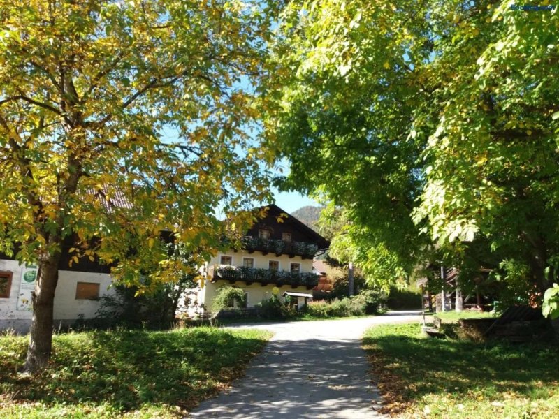 Kostlhof, Familie Hassler