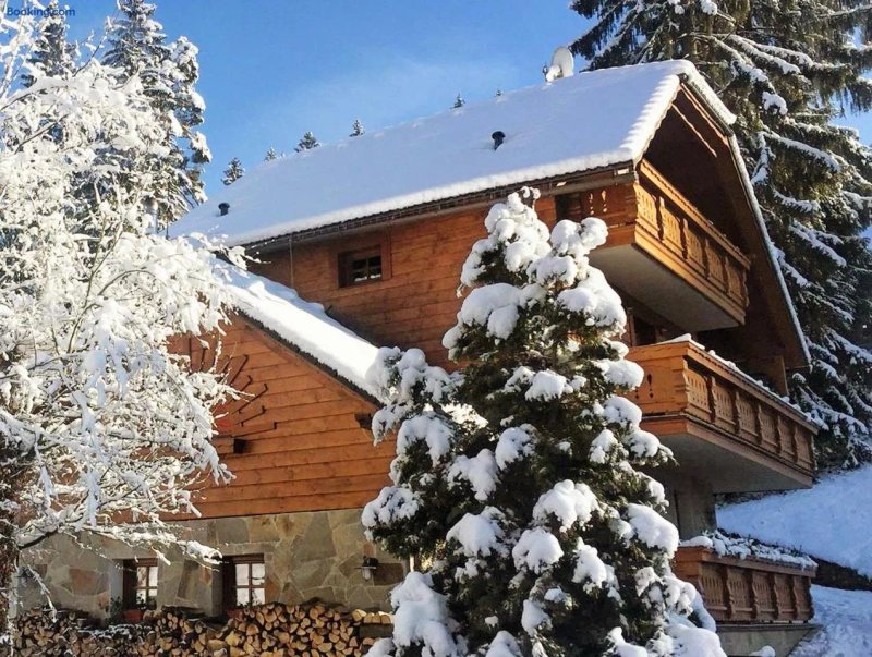 Guest House Chata Alpina