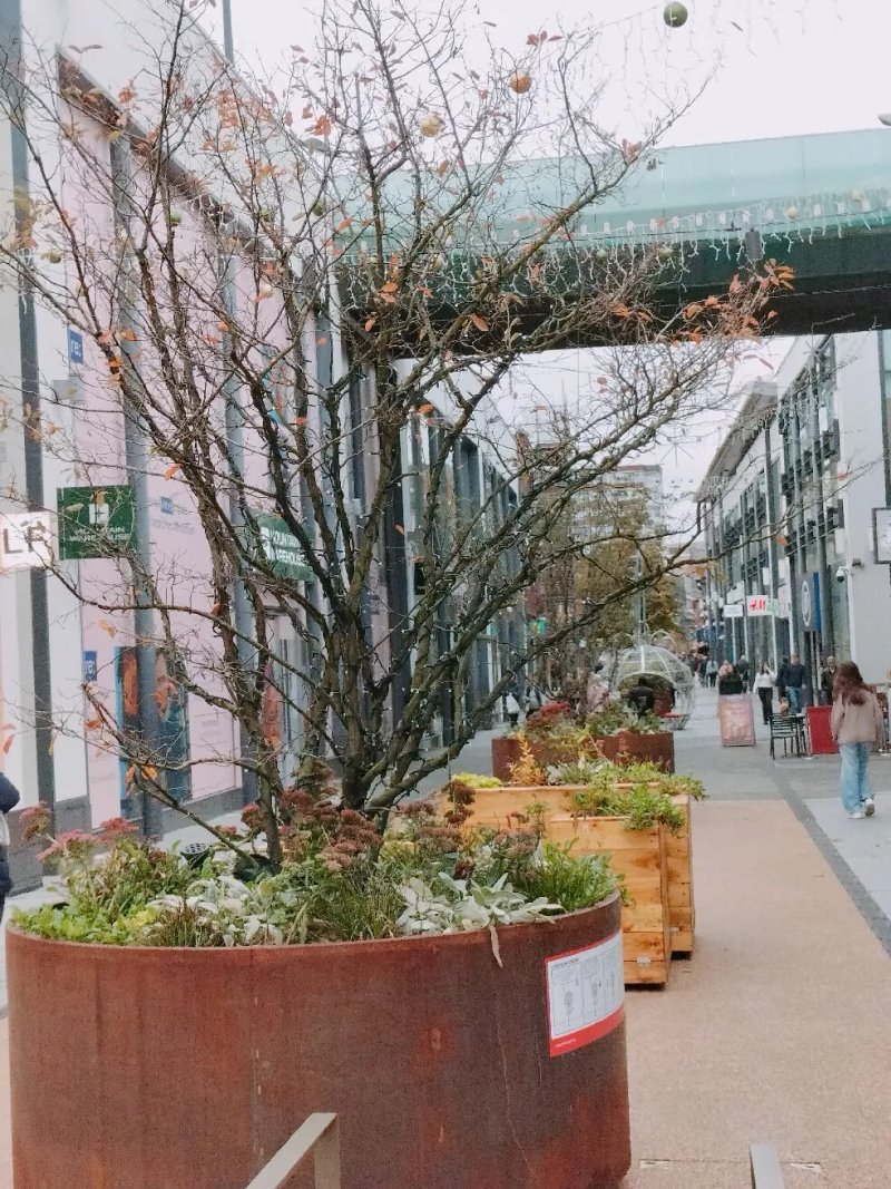 The Stamford Quarter