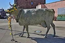 The Turra Coo