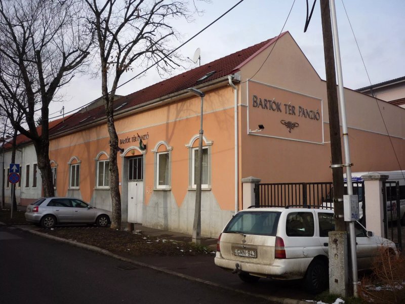 Bartok Ter Panzio