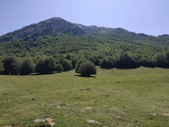 Piano del Gaudolino