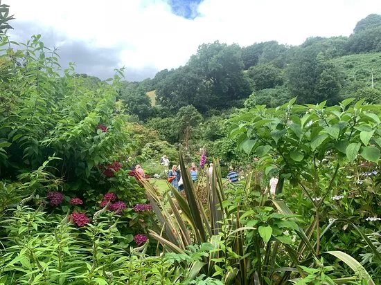 Greatcombe Gardens And Gallery