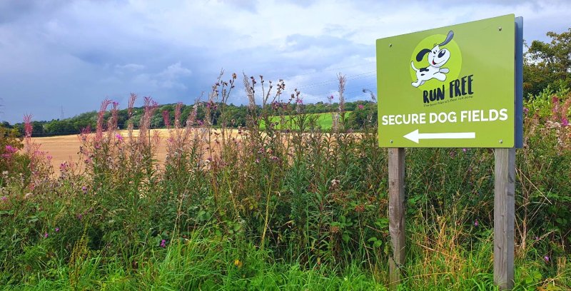 Run Free Dog Fields