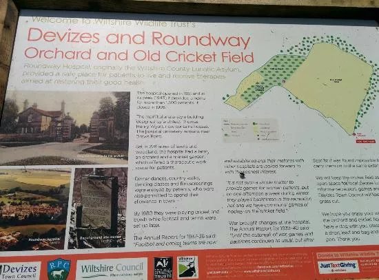 Drews Pond Nature Reserve