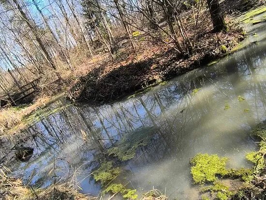 Parcours Sante De Choisy