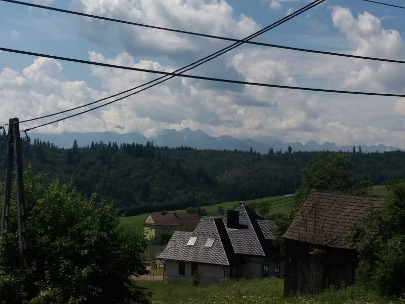 Borowikowe Zacisze