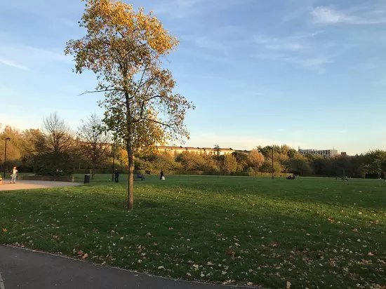 Weavers Fields
