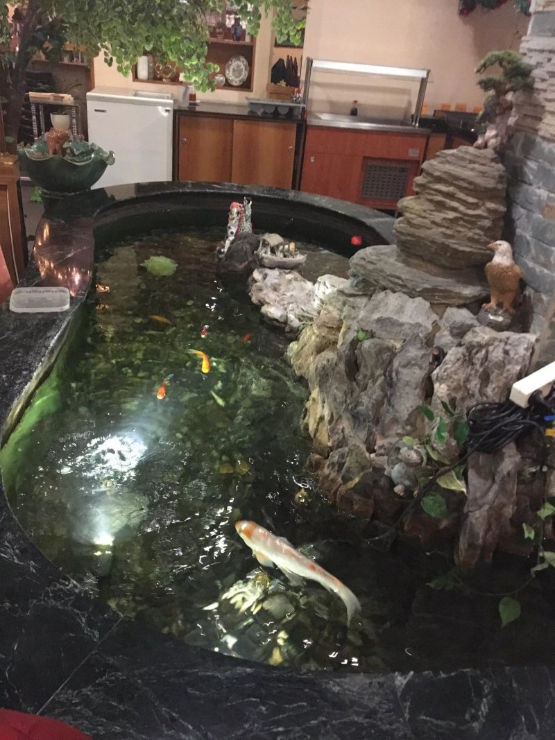 China Garden