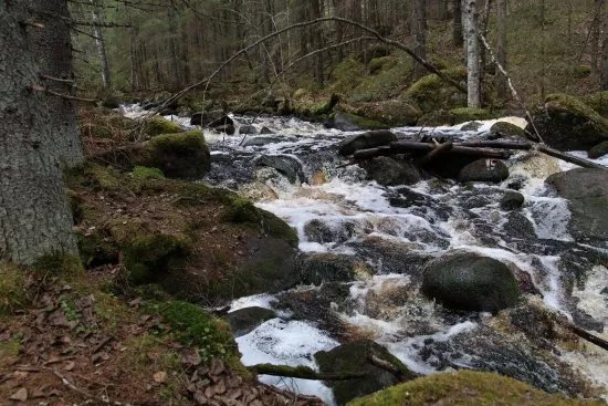 Kulhanvuori Hill Nature Reserve