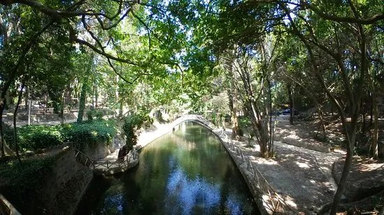 Rodini Park