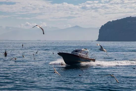 Sorrento Sea Service