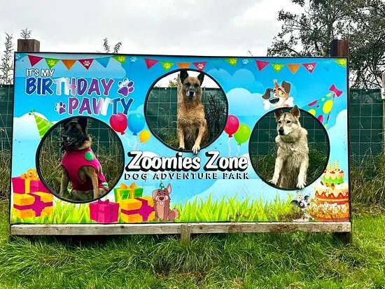 Zoomies Zone Liverpool