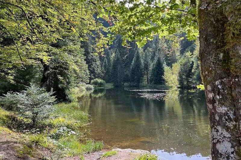 Charmante Maison 10 Pers. au Cœur des Hautes-vosges - Cheminée, Wifi, Billard