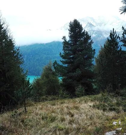 Via Engiadina