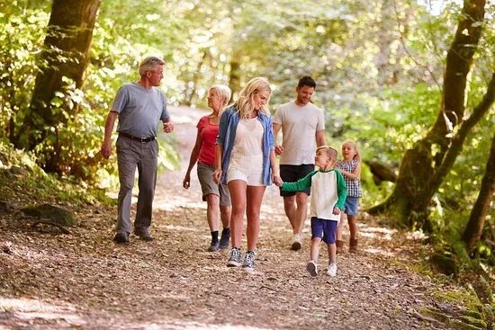 Pooh Trek & Ashdown Forest Tours