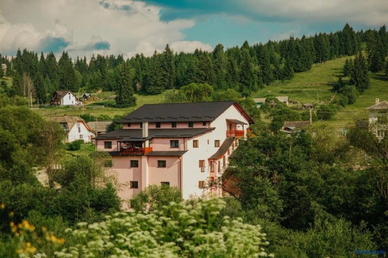 Pensiunea Auraș
