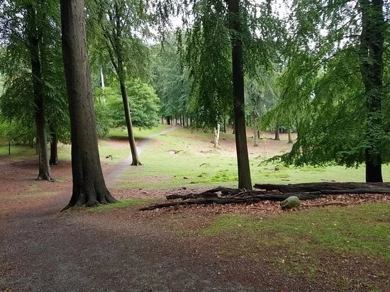 Dyrehaven Vejle
