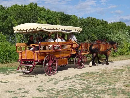 Les Caleches de Camargue