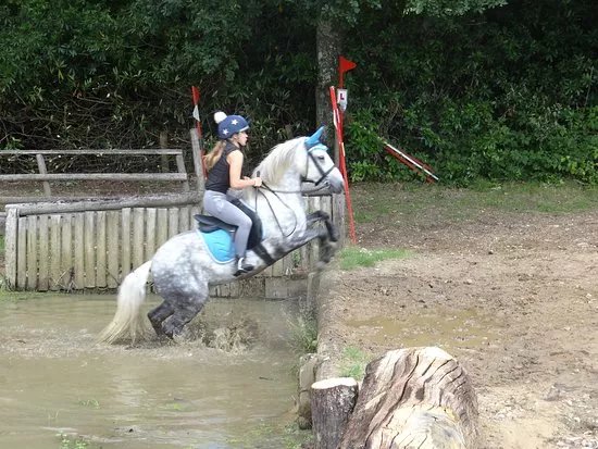 Catherington Equestrian Centre