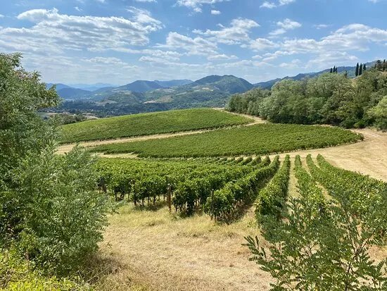 Tenuta Folesano