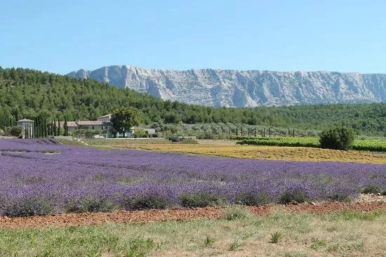 Planet Provence