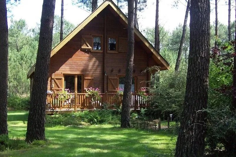 Cozy wooden house in a quiet forest location - pure relaxation in nature