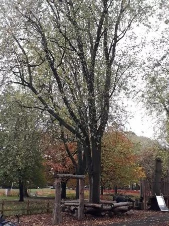 Page Park
